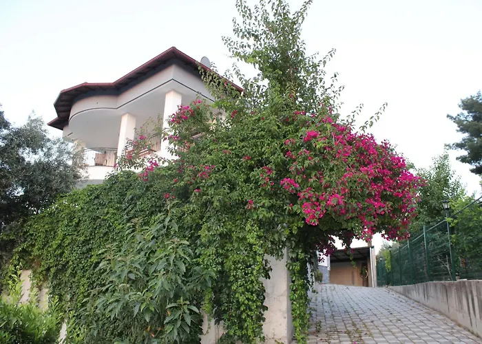 Oktapolis